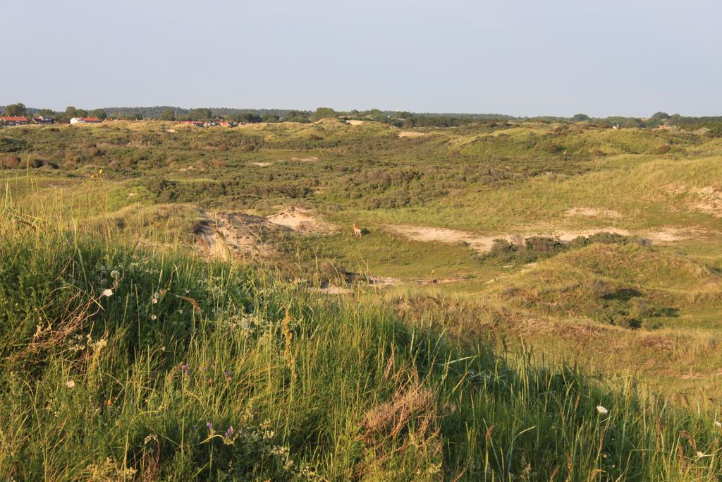 Posthuisje Zandvoort Rum bild